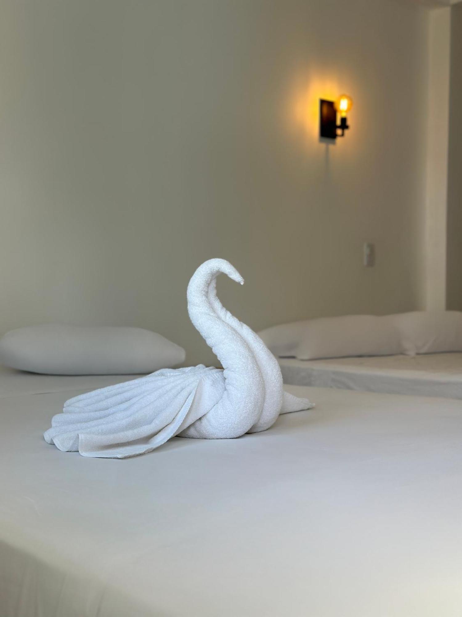 De Mar Hotel 신데 델 카르멘 외부 사진